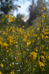 Similar image 22095651