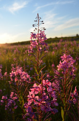 Similar image 22095653