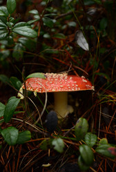 Similar image 22095654