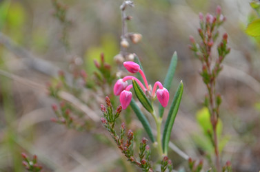 Similar image 22095656