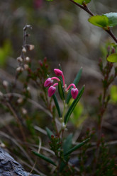 Similar image 22095657