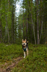 Similar image 22095658