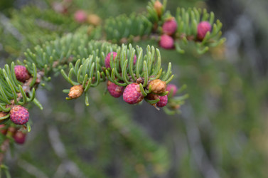 Similar image 22095659