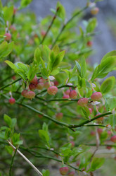 Similar image 22095661