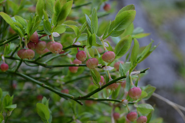 Similar image 22095662