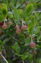 Similar image 22095663