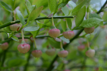 Similar image 22095664