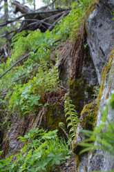 Similar image 22095665