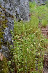 Similar image 22095666