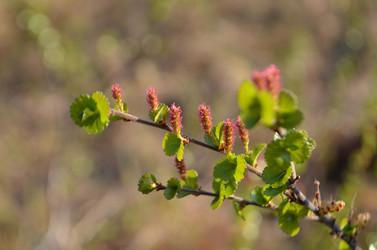 Similar image 22095668