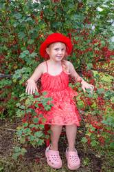 Similar image 22113811