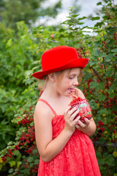 Similar image 22113818