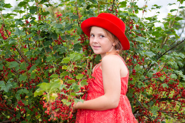 Similar image 22113820