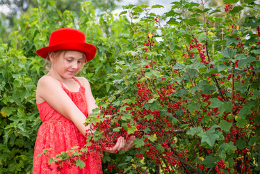 Similar image 22113821