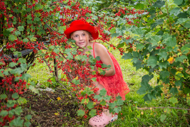 Similar image 22113822