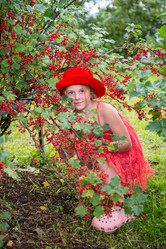 Similar image 22113824