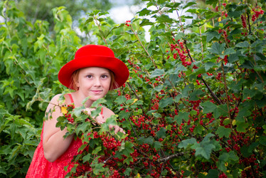 Similar image 22113828