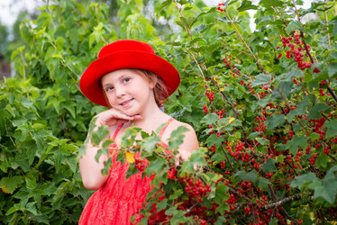 Similar image 22113829