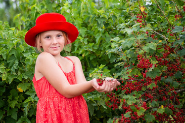 Similar image 22113831