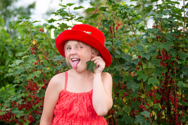 Similar image 22113832