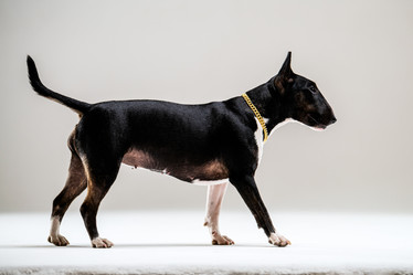 Similar image 22112428