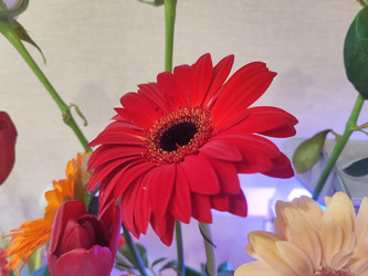 Similar image 22095611