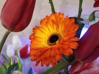 Similar image 22095612