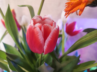 Similar image 22095613