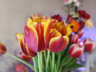 Similar image 22095614