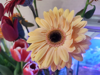 Similar image 22095615