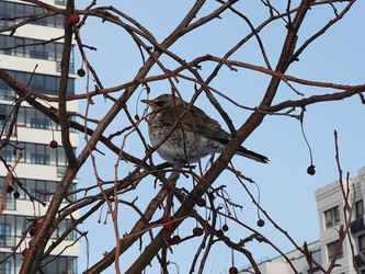 Similar image 22093786