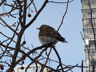 Similar image 22093787