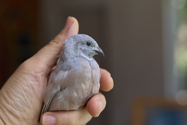 Similar image 22093803