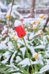 Similar image 22093815