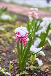 Similar image 22093816