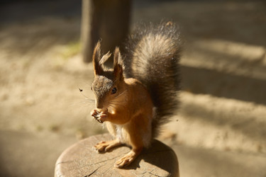 Similar image 22093820