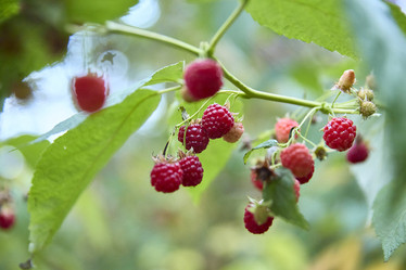 Similar image 22093822