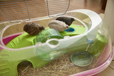 Similar image 22093828