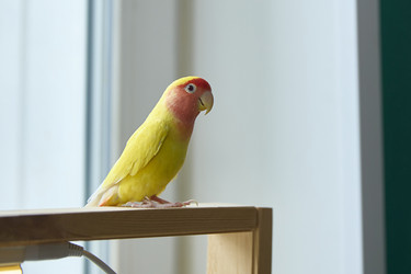 Similar image 22093830