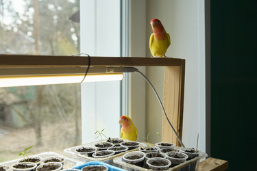 Similar image 22093832