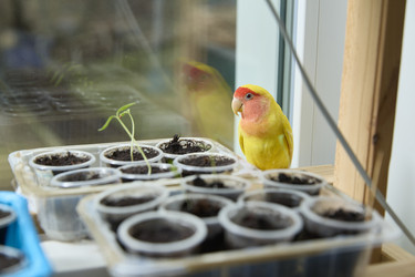 Similar image 22093834