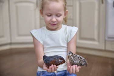 Similar image 22099235