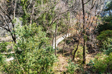 Similar image 22098603