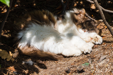 Similar image 22098605