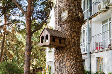 Similar image 22098606