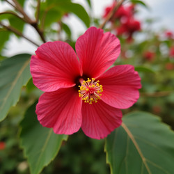 Similar image 22128225