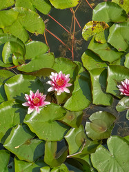 Similar image 22093669