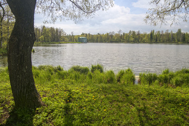 Similar image 22094429