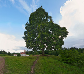 Similar image 22094436