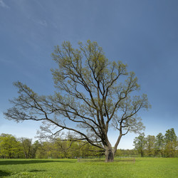 Similar image 22094545